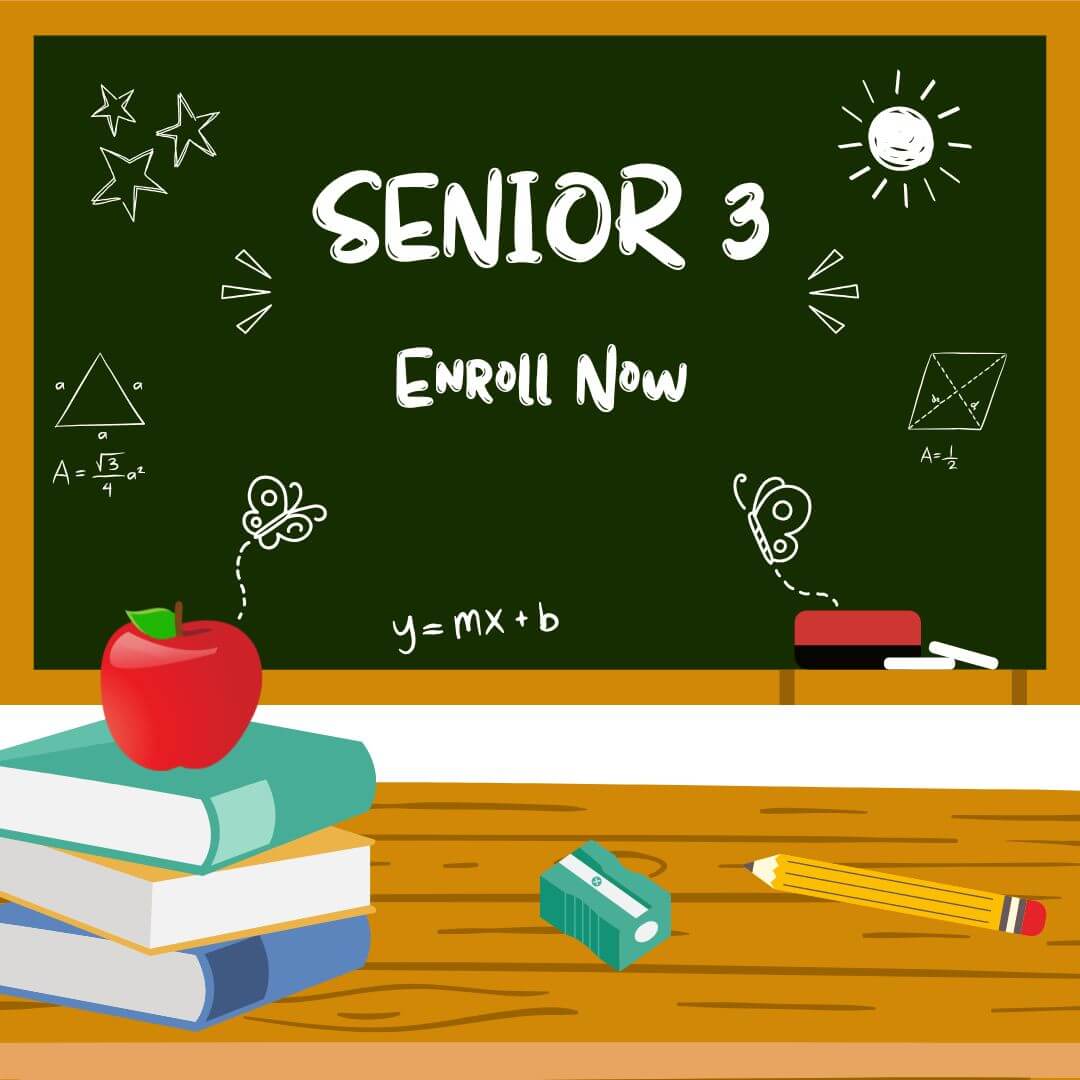 Senior 3 All Subjects